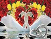 Два лебедя, сердце и кольца