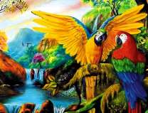 Два больших попугая ара в зелёной долине реки