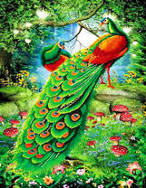 Два зеленохвостых павлина в лесу