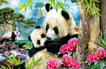 Семейство панд в райском уголке
