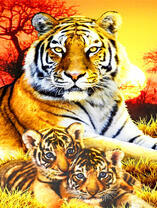 Пара тигрят и их мама на фоне заката