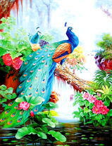 Пара павлинов на ветке над рекой