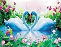 Белые лебеди на озере с цветущими лотосами
