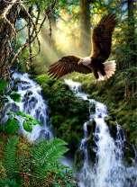 Полёт орлана над лесным водопадом