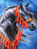 Чёрный конь в парадной уздечке