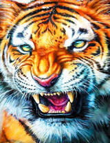 Грозный оскал свирепого тигра