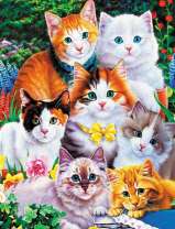 Много котят в цветущем саду