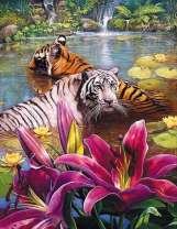 Пара тигров в лесном озере