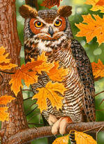 Филин среди желтой листвы