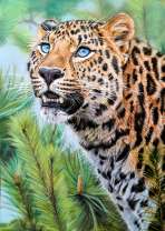 Злой ягуар возое сосны