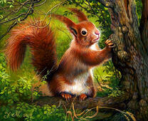 Рыжая белочка на дереве