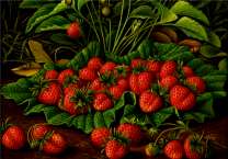 Урожай клубники на листе