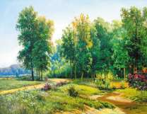 Солнечная опушка летнего леса