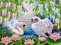 Влюбленные лебеди среди обилия цветов