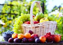 Корзина богатого урожая