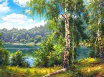 Незабываемый вид на реку