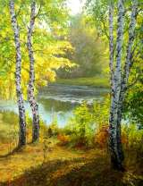 Молодые березки у реки