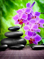 Фиолетовые орхидеи и скульптура из камней