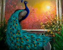 Красивый павлин на фоне яркого солнца