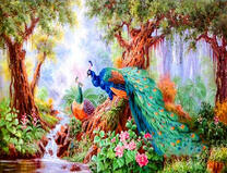 Пара павлинов на дереве в красочном уголочке