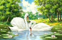 Белые лебеди на летнем озере с лотосами