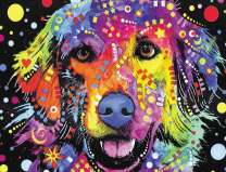 Яркий лабрадор в сердечках и звёздочках