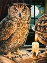 Мудрый филин на фоне полной луны