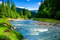 Горная река спускается в долину