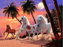 Три красивых лошади на тропическом острове