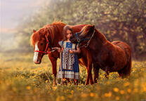 Девочка на лугу выгуливает пару пони