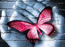 Розовая бабочка на ладонях