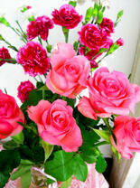 Розы и гвоздики