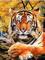 Грозный тигр под осенним деревом