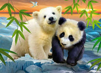 Милые медвежата панда и полярный мишка