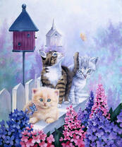 Три котёнка на заборе