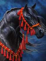 Чёрный конь в красной сбруе