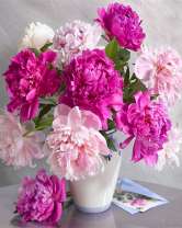 Белая ваза с пышным букетом пионов