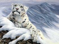 Снежный барс на ледяной скале