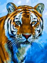 Грозный тигр на фоне льда