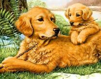 Щенок и мама играют палками