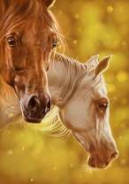 Коричневая лошадь и белый жеребёнок