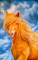 Пышногривая лошадь