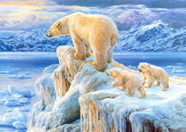 Семья полярных медведей на льдине