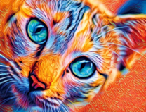 Голубоглазая кошечка в ярких цветах