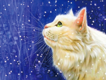 Белая пушистая кошечка под снегом