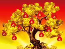 Золотые монеты на денежном дереве