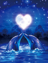 Пара дельфинов под луной сердечком