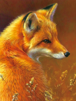 Лиса в осенней траве