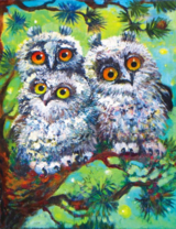 Милые белые совята на сосне