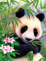 Панда в цветах и зарослях бамбука